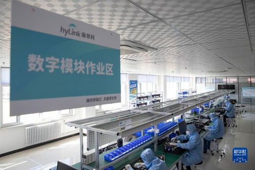 中國最北自貿(mào)區(qū) 數(shù)字經(jīng)濟(jì)轉(zhuǎn)型中的軟件技術(shù)開發(fā)新引擎