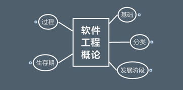 軟件技術(shù)開發(fā) 前景廣闊的職業(yè)航道